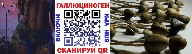 blacksprut сайт  Североуральск  Псилоцибиновые грибы Magic Shrooms 
